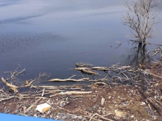 Читателско: С боклуци е осеян язовир \