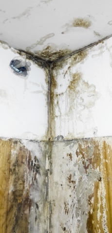 Читателско: Блок в Пазарджик се санира, новият покрив тече!