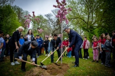 Посланикът на Япония засади японска вишня в Пазарджик