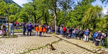 Многолюден протест във Велинград заради „Клептуза“