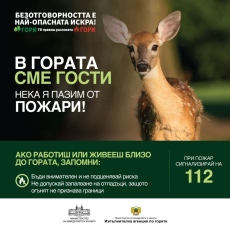 Горските: Безотговорността е най-опасната искра!