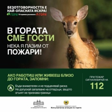 Горските: В гората сме гости! Безотговорността е най-опасната искра!