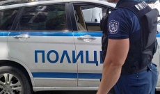 Изясняват случай с незаконен развъдник на питбули в пазарджишкия квартал „Изток“