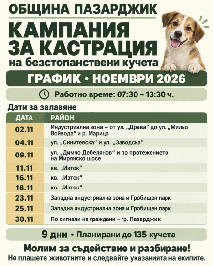 Кампания за кастрация на безстопанствени кучета организира Община Пазарджик през ноември